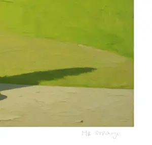 Mr Strange - Belastingadviseur van Meester Yoda kopen? Bied vanaf 80!