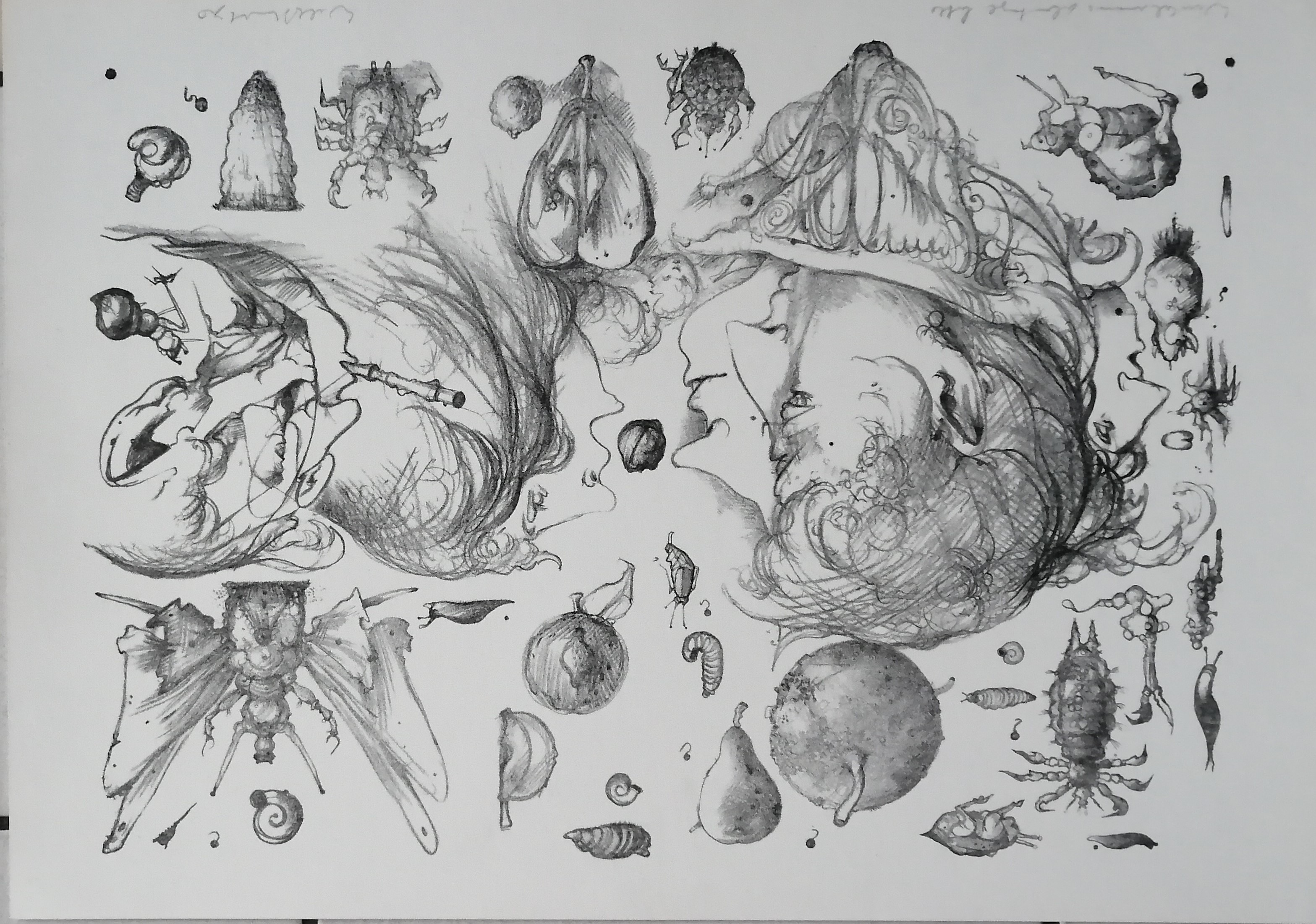 Dirkje Kuik - Winkel van .......? kopen? Bied vanaf 45!