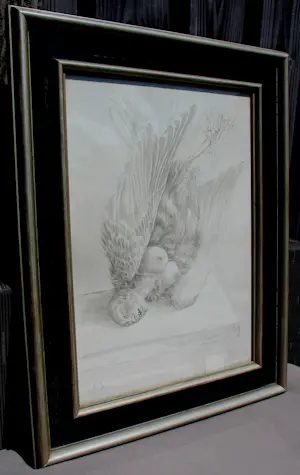 Peter Vos - grote ingelijste tekening: Stilleven van een "harpy" - 1970 kopen? Bied vanaf 595!