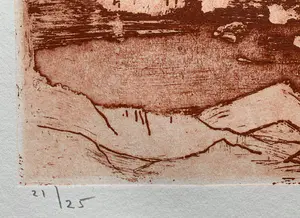 Jan Montyn - kleurenets - 'Sierra Rosario' - 1999 (KLEINE OPLAGE) kopen? Bied vanaf 1!