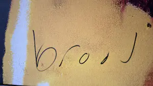 Herman Brood - Naakt kopen? Bied vanaf 795!