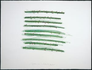 John van 't Slot - Gouache, Doorntakken kopen? Bied vanaf 50!