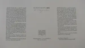 Kunito Nagaoka - DER VULKAN " ASAMA " 5 RADIERUNGEN 6 FOTOGRAPHIEN kopen? Bied vanaf 500!