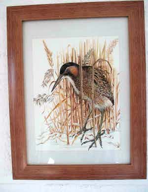 Ari Stolk - Roerdomp in het riet verkocht voor € 125!