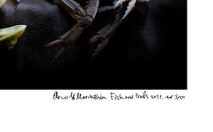 Arnold Mariashin - Fish and Crabs kopen? Bied vanaf 125!