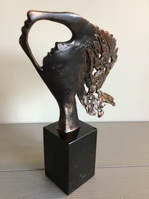 Bernadette Leijdekkers - “ Visie op de toekomst “ zeldzaam . kopen? Bied vanaf 189!