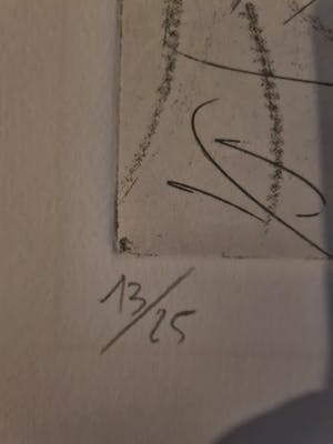 Frank Guitart - Naam niet bekend kopen? Bied vanaf 30!