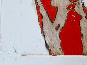 Cees Kortlang - Grote handgekleurde reliëf Ets/aquatint - potloodges. - zeer kleine oplage (10) kopen? Bied vanaf 59!