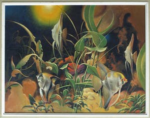 J.B. Palsen - Olieverf op doek , Tropische vissen in aquarium - ingelijst – ca 1960 kopen? Bied vanaf 50!