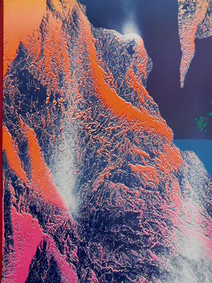 Vincent Mengin-Lecreult - Evolution kopen? Bied vanaf 35!