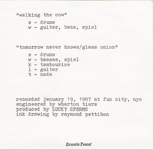 Raymond Pettibon - Lot van twee singles kopen? Bied vanaf 1!