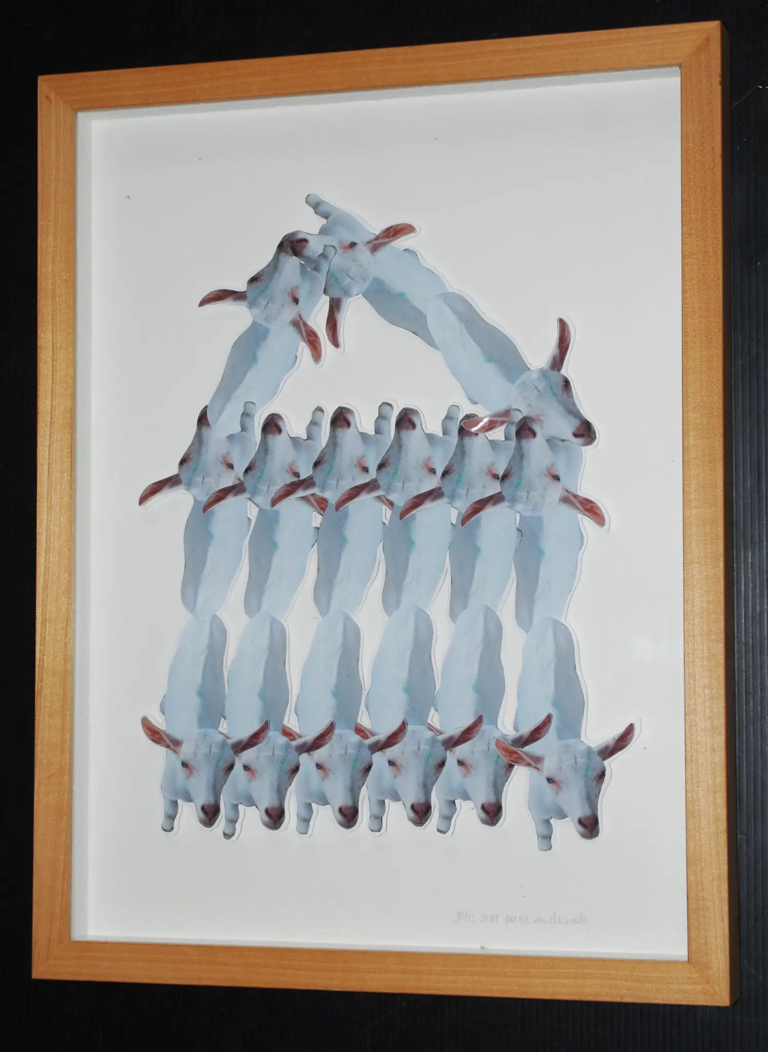 Anne van de Pals (1960)