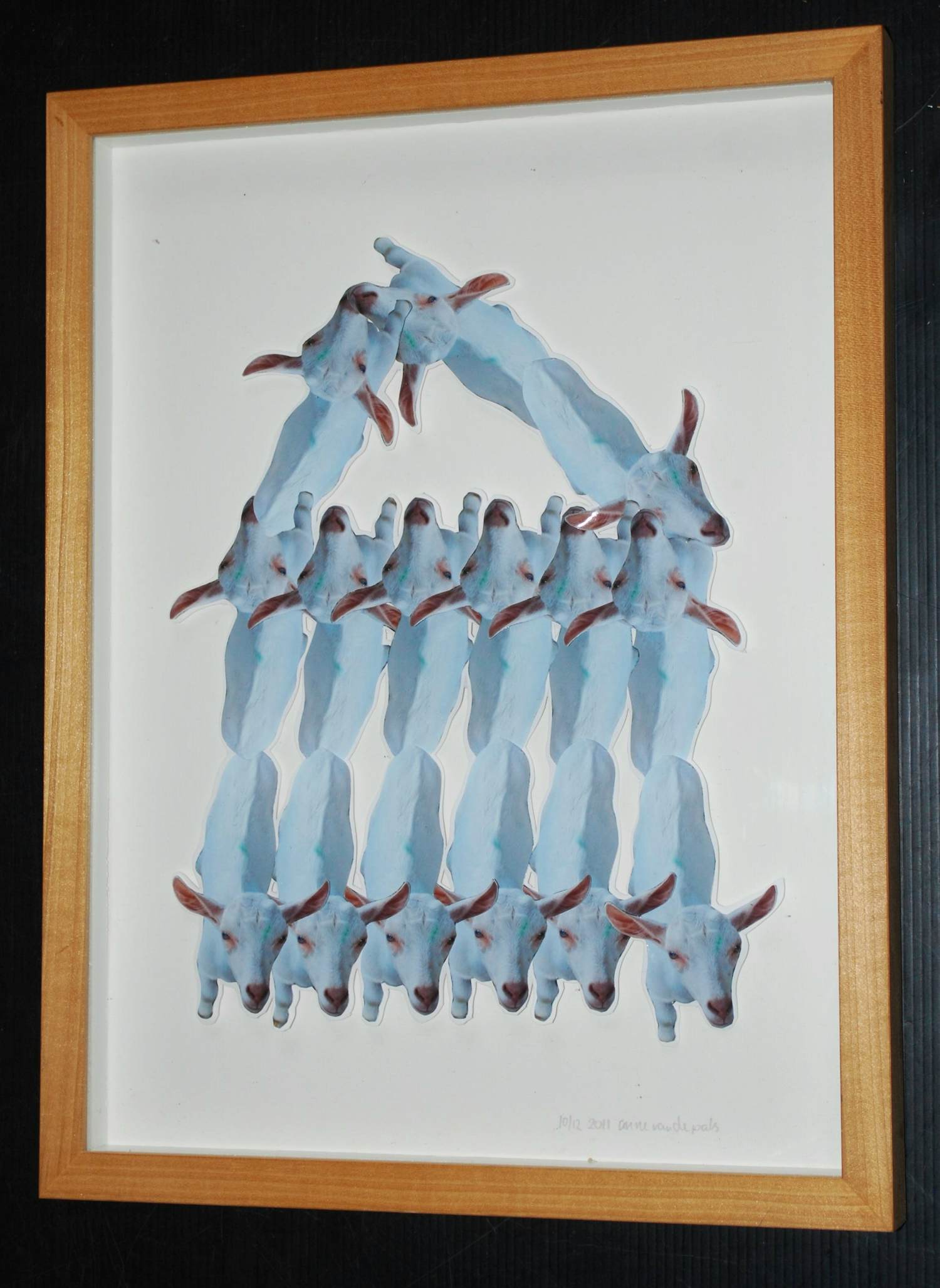 Anne van de Pals - fotocollage kalfjes 2011 kopen? Bied vanaf 30!
