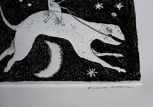 Frank Lodeizen - Ets: Vreugden en Verschikkingen... kopen? Bied vanaf 49!