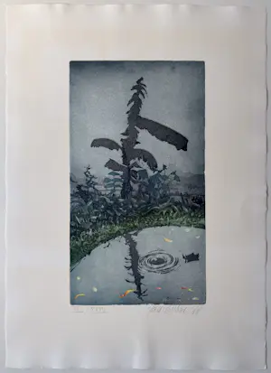 Sjoerd Bakker - Handgesigneerde kleurenets | 'Zonder titel' | 1988 kopen? Bied vanaf 20!