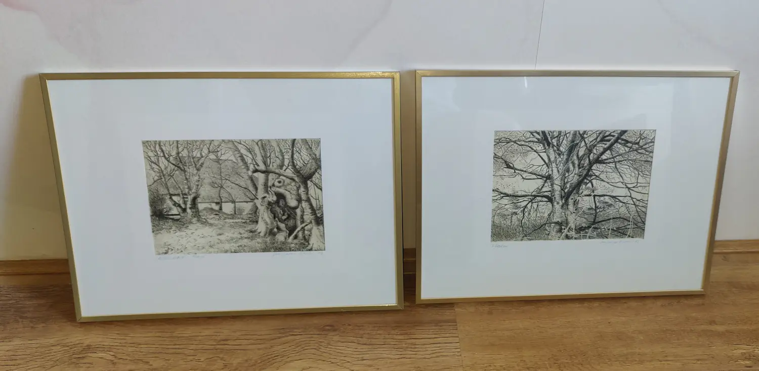 Jan Jacob Bruin (1943)