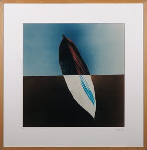 Jean Ruiter - Foto, Blad - Ingelijst kopen? Bied vanaf 35!