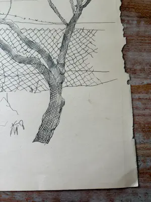Herman Bieling - Tekening/studietekening Boom met voederhuisje, tekening verso kopen? Bied vanaf 40!
