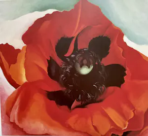 Georgia O’Keeffe - Set van drie prints,Klaproos,Trompetbloem en Bladeren Patroon kopen? Bied vanaf 30!