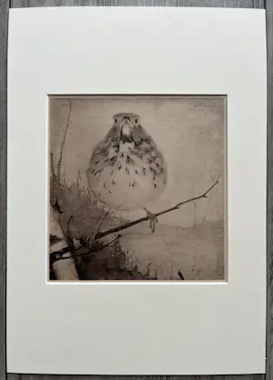 Jan Mankes - Originele Heliogravure Lijster op Tak 1923 kopen? Bied vanaf 185!