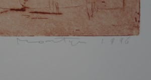 Jan Montyn - Tibet source du Mekong kopen? Bied vanaf 75!