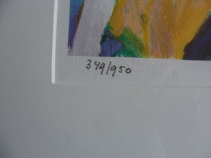 Jan Cremer - Zeefdruk. titel, Wild Horizon. kopen? Bied vanaf 175!