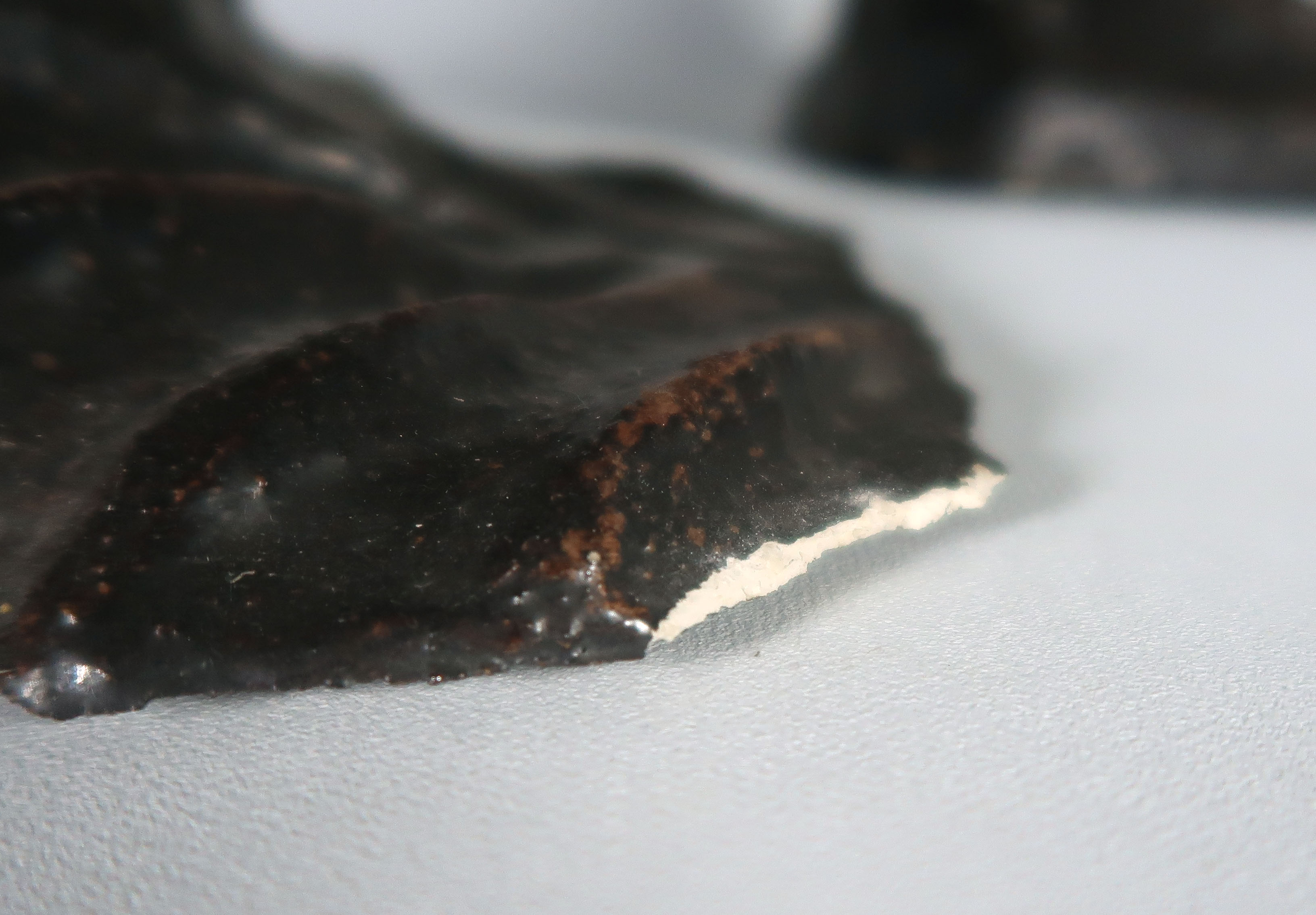 Toon Gielen - Beschilderd en geglazuurd keramiek, Vis kopen? Bied vanaf 1!