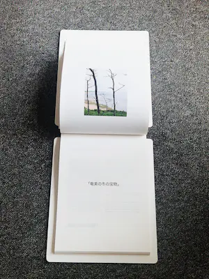 Cuny Janssen - JAPAN fotoboek verschenen bij haar expositie museum de Pont Tilburg 2010 kopen? Bied vanaf 38!