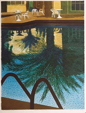 Joost Minnigh - Tropisch zwembad kopen? Bied vanaf 85!