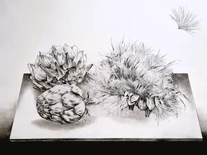 AcheterDick Stolwijk - Grote realistische -eigen druk- Ets "artisjokken" - potloodgesigneerd? Enchérissez de 1!