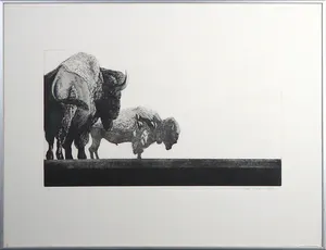 Rene Polak - Ets en aquatint, Twee bisons - Ingelijst kopen? Bied vanaf 1!