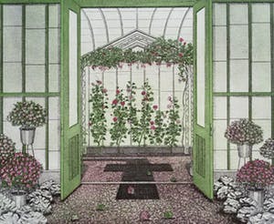 Tiny van der Sar - Azalea-Geraniumkas, aquatint ets kopen? Bied vanaf 40!