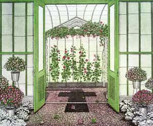 Tiny van der Sar - Azalea-Geraniumkas, aquatint ets verkocht voor € 40!