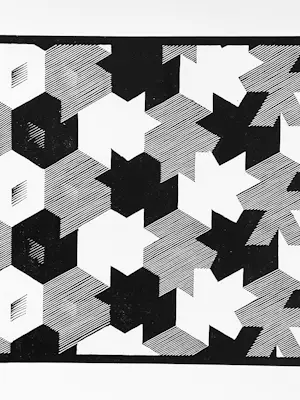 Maurits Cornelis Escher - Metamorphosis I, plus boek De Toverspiegel van M.C.Escher kopen? Bied vanaf 20!