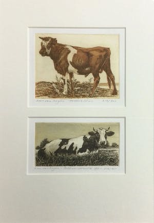 Han van Hagen - Dubbele kleurets/aquatint met koeien | Potter's Stier & Melkunieprent II kopen? Bied vanaf 59!