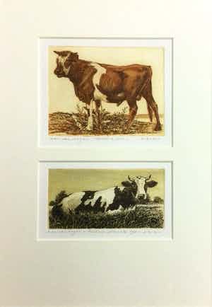 Han van Hagen - Dubbele kleurets/aquatint met koeien | Potter's Stier & Melkunieprent II verkocht voor € 59!