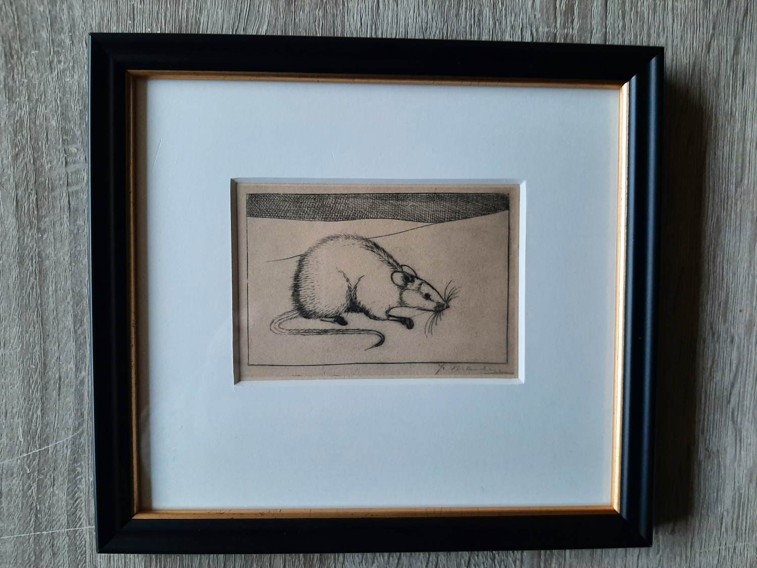 Jan Mankes - Originele Heliogravure Muis 1923 kopen? Bied vanaf 100!