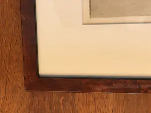 Jan Coenraad Nachenius - Omg. veenendaal kopen? Bied vanaf 45!