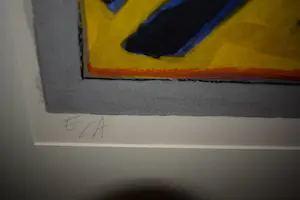 Corneille - Litho - EA - Poisson surréaliste - Geheel nieuw ingelijst kopen? Bied vanaf 340!