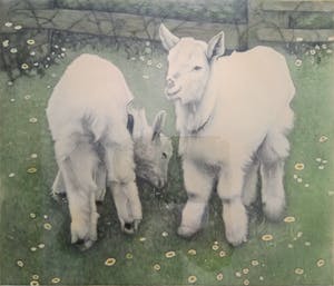 Frans Everbag - Zonder titel "Twee geitjes.", Jaren '30. kopen? Bied vanaf 60!