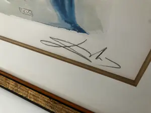 Salvador Dali - Divine Comedy (Purgatorio) kopen? Bied vanaf 75!