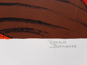 Ronald Boonacker - VILLA MONTERIGGIONI kopen? Bied vanaf 75!