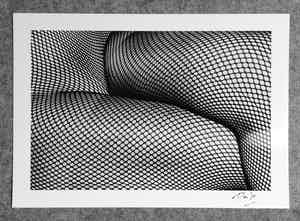 Daido Moriyama - Autogramm auf Fotografie Tights verkocht voor € 49!