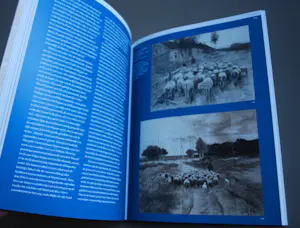 Anton Mauve (sr.) - kostbare uitgave in nieuwstaat kopen? Bied vanaf 50!