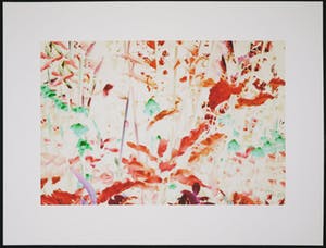 Claudia Kolgen - C-print, Zonder titel kopen? Bied vanaf 1!