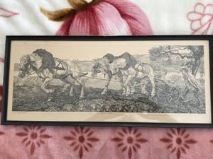 Pieter Dupont - Ploegende paarden kopen? Bied vanaf 125!