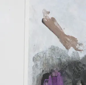 Nico Molenkamp - Zeefdruk, Vogel - Ingelijst (Groot) kopen? Bied vanaf 1!