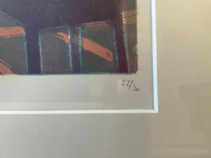 Wendelien Schonfeld - Hôtel Turgot, de Hollandse kamer kopen? Bied vanaf 120!