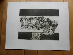 Peter Oosterbos - Ets, Titel "Grafica Organica kopen? Bied vanaf 30!