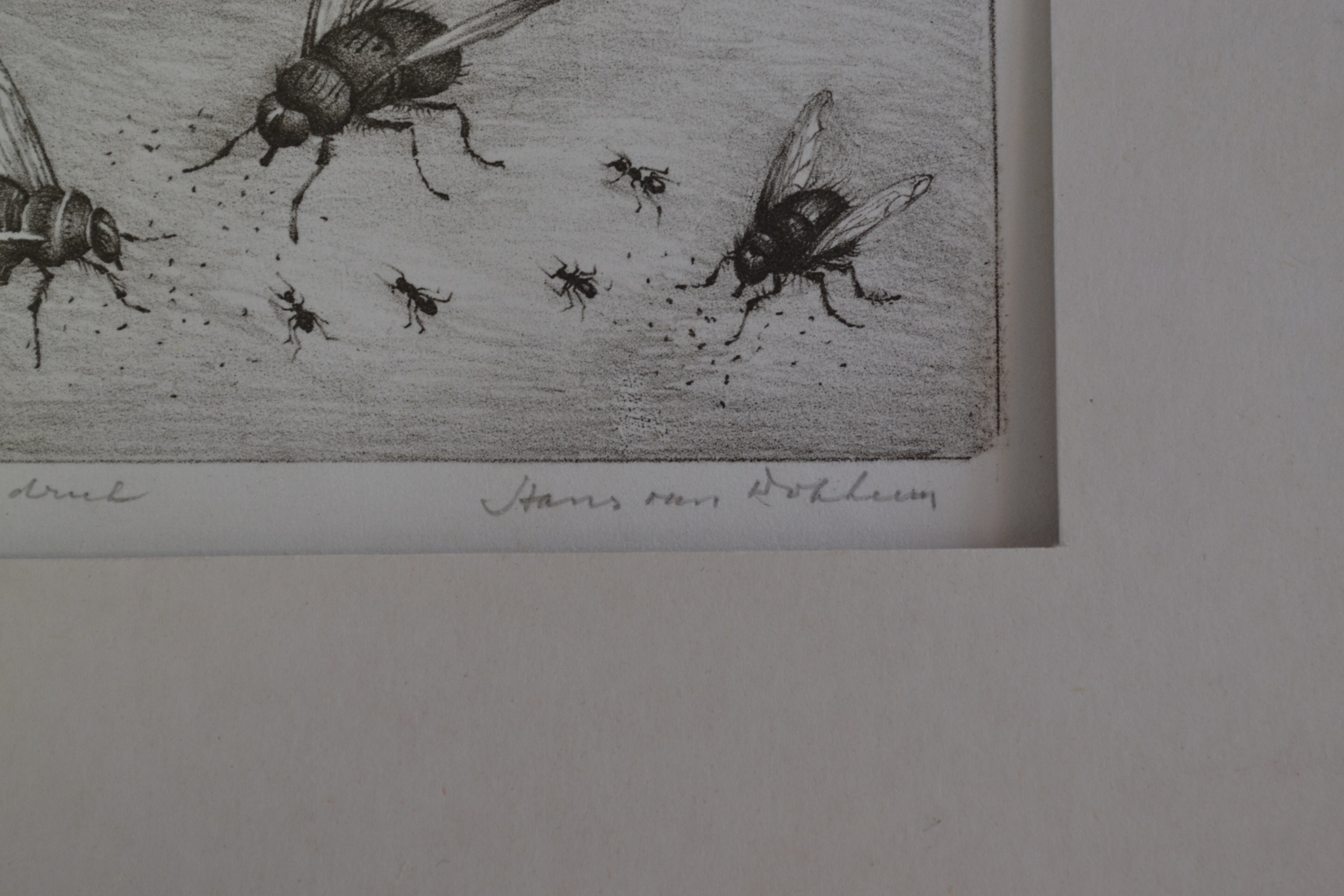 Hans van Dokkum - ets, drie vliegen en vier mieren kopen? Bied vanaf 20!